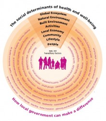 Figure 2.2 Determinants of Health