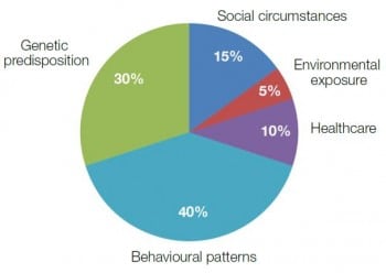 Figure 9.3 Factors contributing to premature death