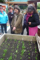 People taking part in the food for life project