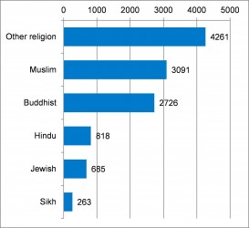 Figure 4.3 Population by Belief 2