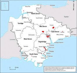 Figure 6.2 Devon Air Quality Management Areas