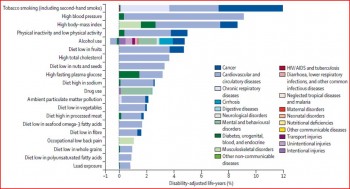 Figure 9.1 Burden of disease