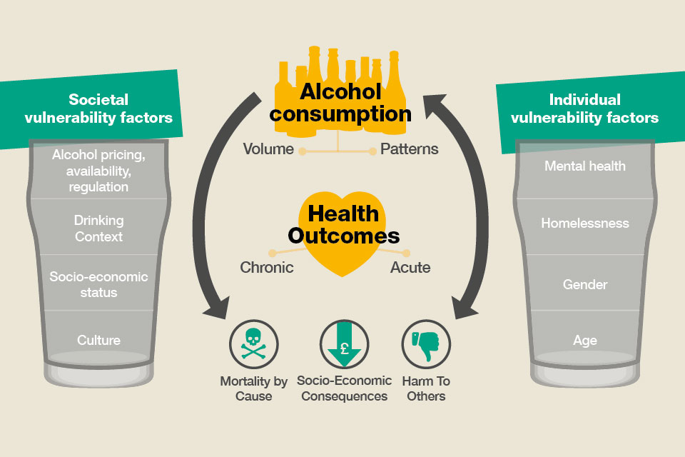 Figure showing determinants of alcohol-related harm. Societal factors include pricing, drinking context, culture and socio-economic status. Individual vulnerability factors include mental health, homelessness, gender and age. These impact volumes and patterns of drinking leading to chronic and acute health outcomes, early death, socio-economic consequences and harm to others.